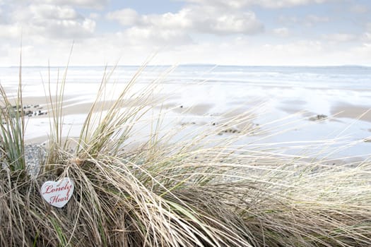 lonely blue wooden love heart in dunes on an Irish beach in summer