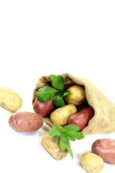 yellow and red potatoes in the bag on bright background