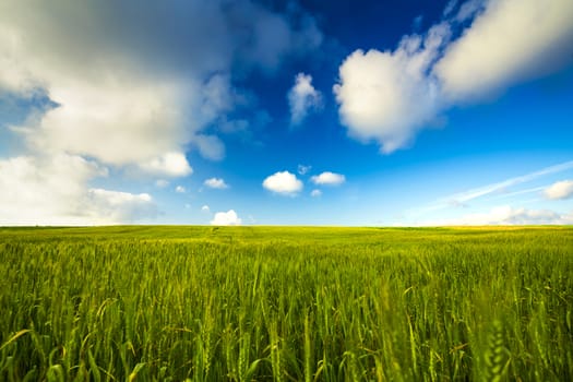 Beautiful landscape with an amazing blue sky and white clouds