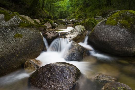 Dark rapid stream with bright blurred blue waves. Big mossy boulders in clear water of mountain river.