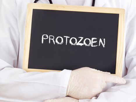 Doctor shows information: protozoa in german language