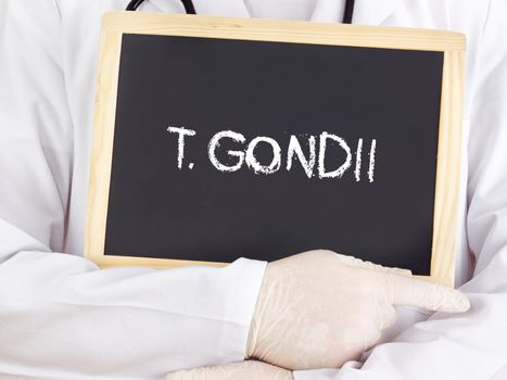 Doctor shows information: T gondii