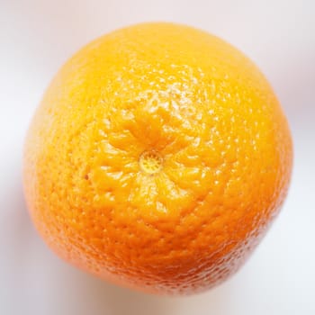 Sweet orange fruit of citrus sinensis