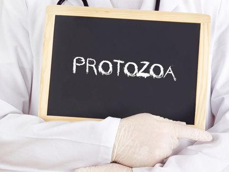 Doctor shows information: protozoa