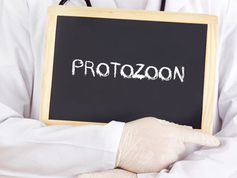 Doctor shows information: protozoon