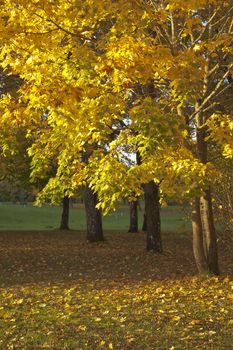 Autumn landscape in Blue lake park Oregon.