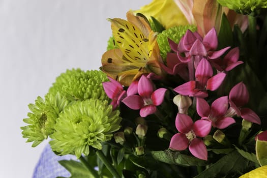 Bouquet of various colorful flowers