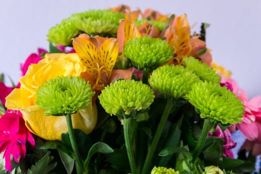 Bouquet of various colorful flowers