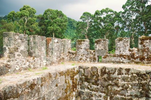 ruins of an old fortress wall in the forest