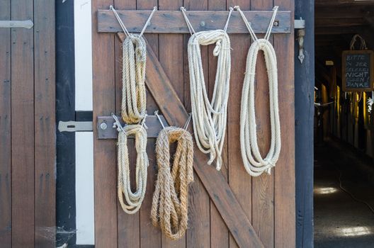 Different cables in a cable Monterrei