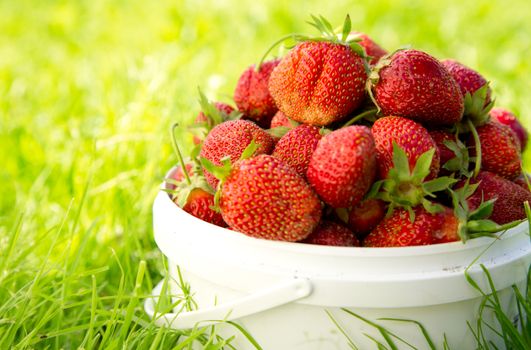 Ripe strawberry in basket on grass