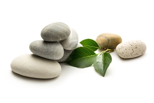 Stones with leaves on white background