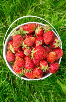 Ripe strawberry in bucket on grass