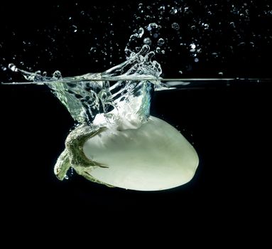 White aubergine in water splash
