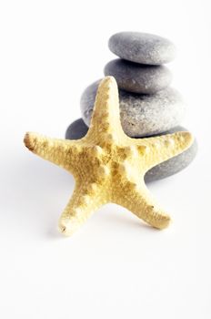 pile of stones and sea star closeup on white background