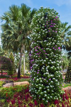 Flower Pots Tree on the Background of Tropical Palm Trees.