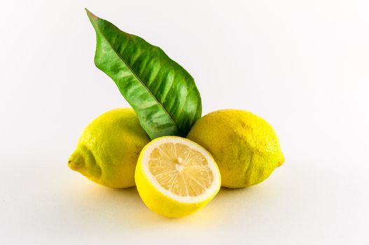 Fresh lemons yellow and green on white background