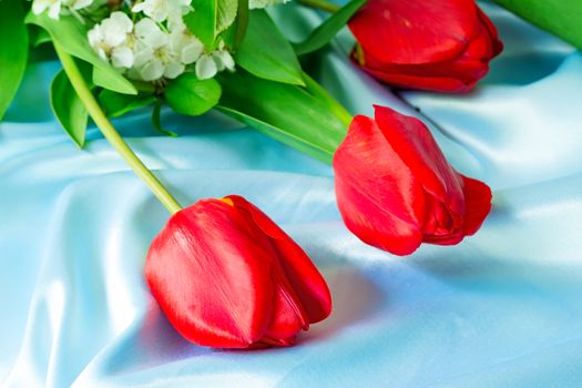 Three big beautiful tulips of bright red color with green leaves against blue silk