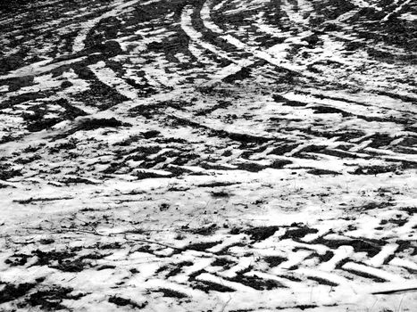 Winter tracks in the snow