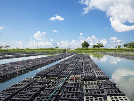 Crab cages at farm producing softshell crabs near the Yangon River in Myanmar