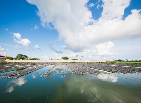 Crab cages at farm producing softshell crabs near the Yangon River in Myanmar