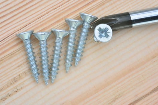 Screws with screw driver with wood