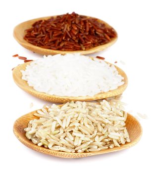 Grey, White and Red Raw Rice in Small Wooden Saucers In a Row on white background. Focus on Foreground
