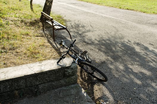 Bicycles in the park