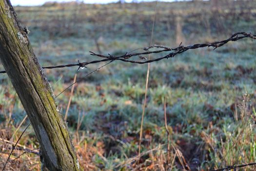 old fence with barbed wire in a meadow