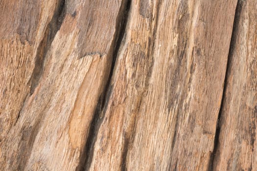 close up of wood textured