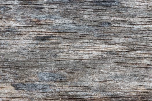 close up wood textured