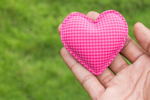 hand hold heart love green grass background