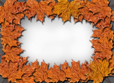 Frame from the yellow leaves on the greybackground