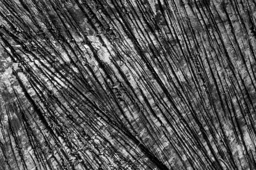 Black and white wood texture grunge background