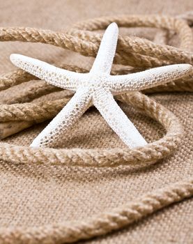 Starfish and rope on sackcloth, sea theme