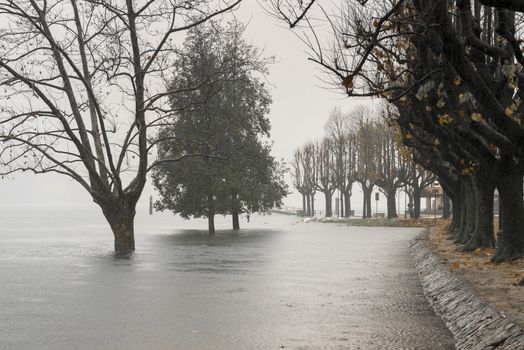 Lake Maggiore overflow in Angera, autumn season Varese - Lombardy