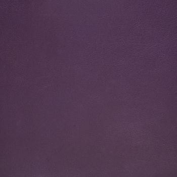 Closeup detail of violet leather texture to background