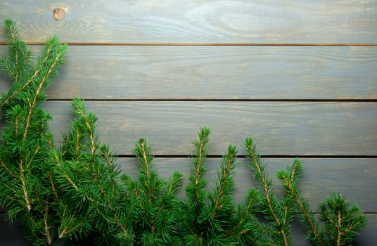 Border design formed using christmas tree branches 