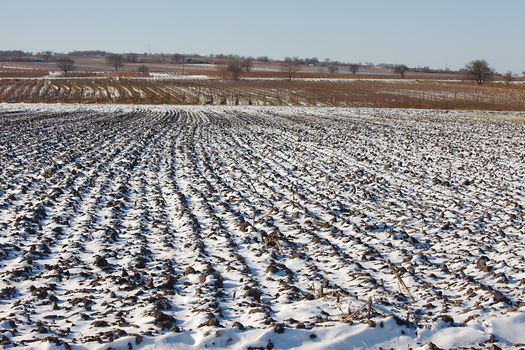 Agricultural field covered by fresh snow