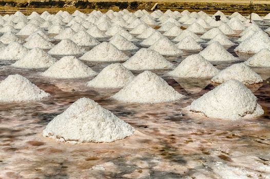 The Salt Flats of Trapani, Sicily, Italy