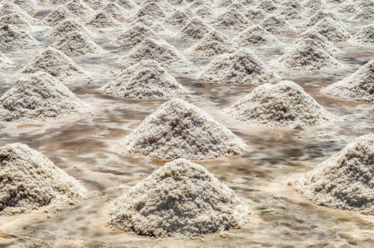 The Salt Flats of Trapani, Sicily, Italy