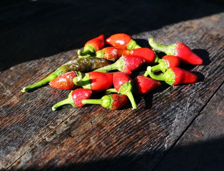 small hot chili peppers on wooden plank, shallow dof