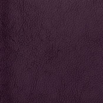 Closeup detail of violet leather texture to background