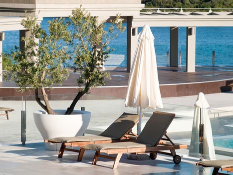 olive tree, deckchairs and beach umbrella near swimming pool