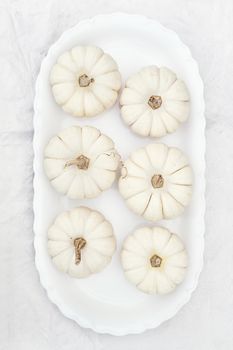 Beautiful table decorations of white pumpkins.