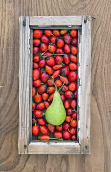 rose hips fruit and pear in old smal wooden window frame. healthy life concept