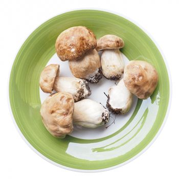 Boletus edulis aka penny bun or porcino mushroom isolated over white