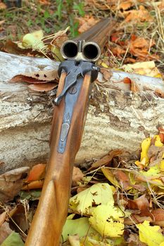 A wooden retro shotgun in autumn style