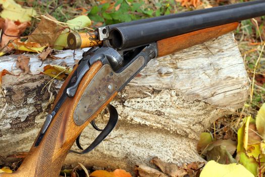 A wooden retro shotgun with shot in autumn style