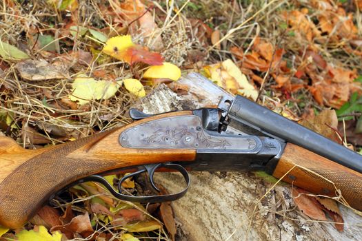 A wooden retro shotgun in autumn style